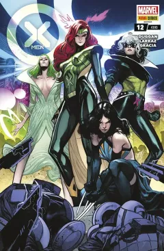 Volume cover